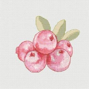 Free-Beginner-Friendly-Embroidery-_-Cross-Stitch-Patterns-red-berry-fruit-1.webp